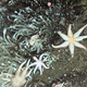 Image for article titled Lost World Discovered Under Antarctica